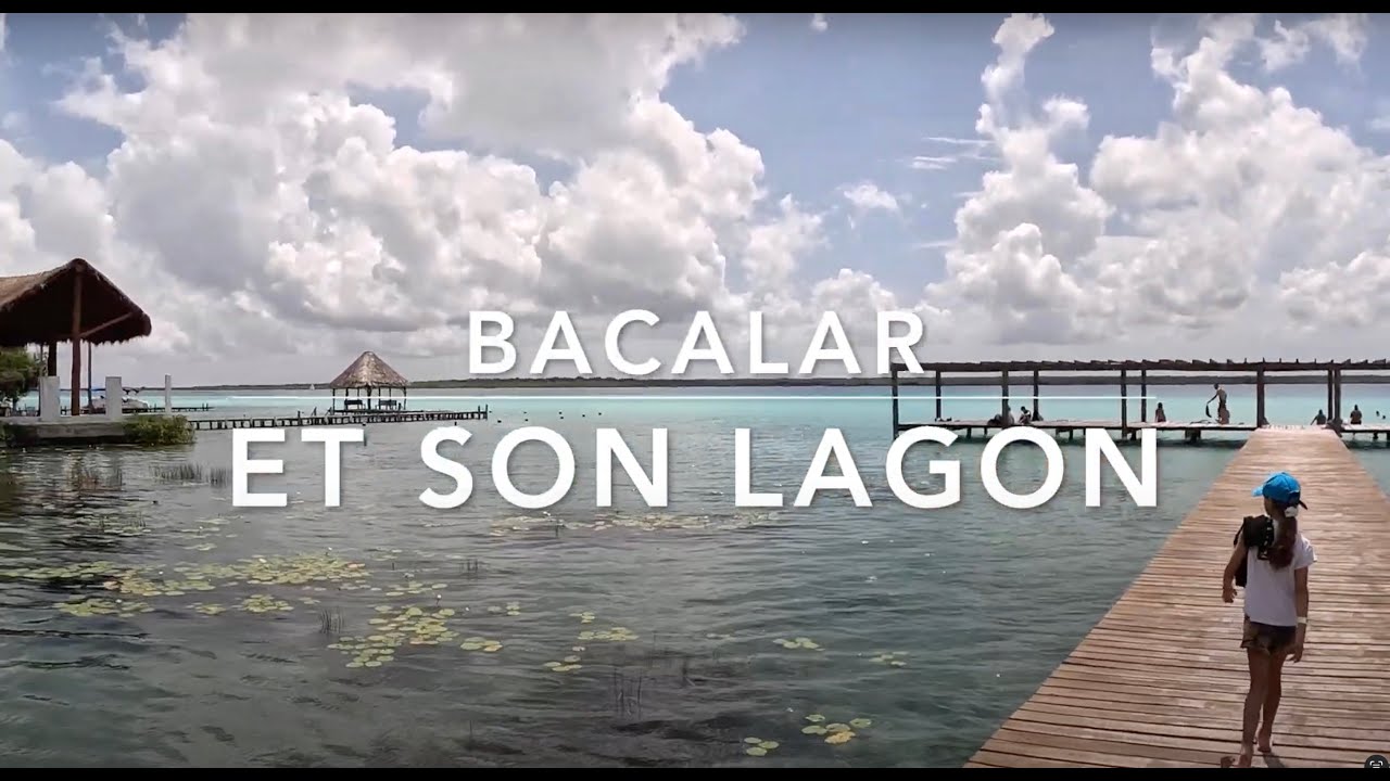 MEXIQUE 4/6 BACALAR