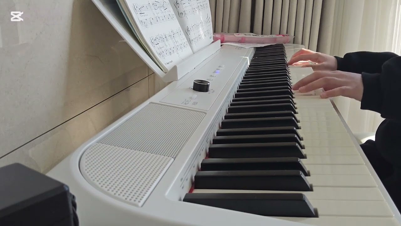 어때욥 ㅠㅠ (제가 왜 우냐구여 저 피아노 4년차에요 부끄럽다 나 자신아)