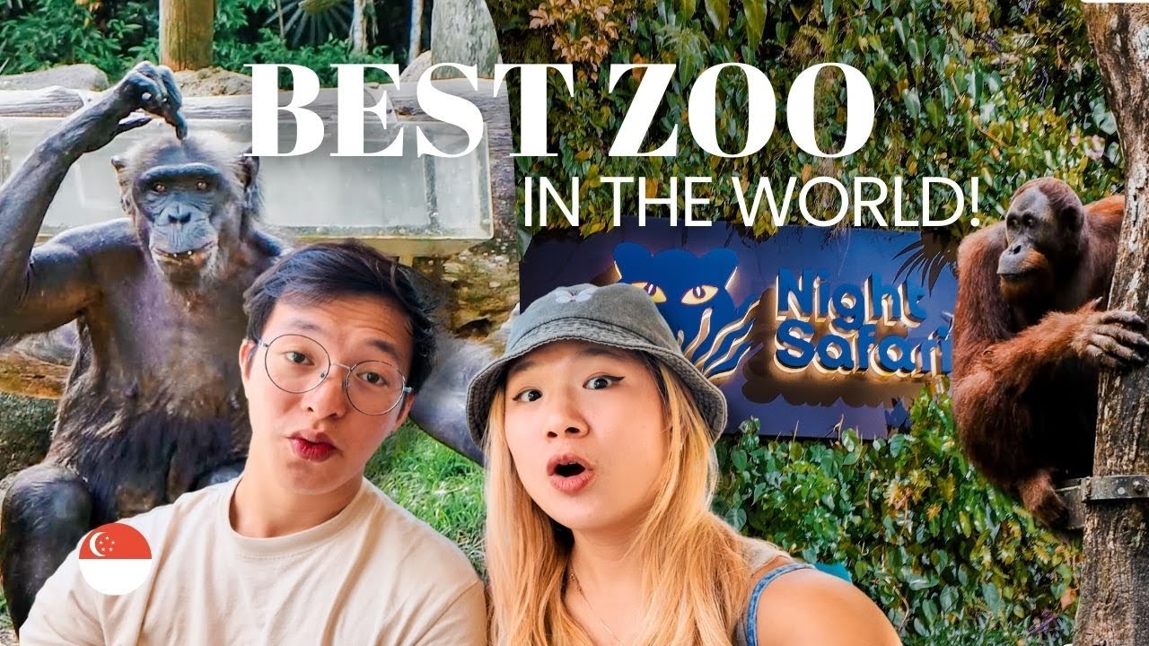 Singapore Zoo and Night Safari | Best Zoo in the World 🗺️