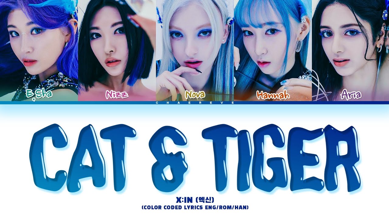 X:IN Cat&Tiger Lyrics (Color Coded Lyrics)