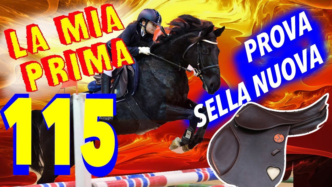 PRIMA 115 con CARL - Vlog Gare - PROVO LA MIA SELLA NUOVA - Concorso Nazionale A3* Gorla M.