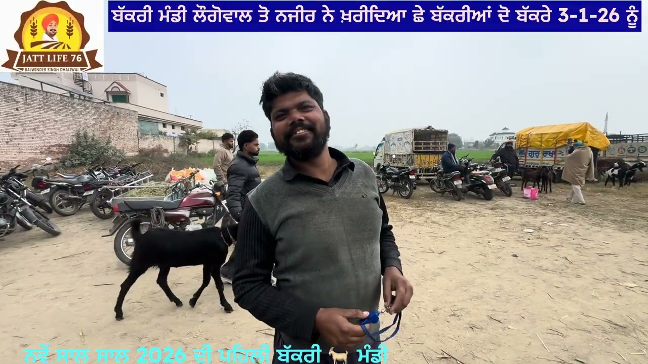 ਅੱਜ ਲੌਗੋਵਾਲ ਦੀ ਮੰਡੀ ਵਿੱਚ ਨਜੀਰ ਮਲੇਰਕੋਟਲਾ ਵਾਲੇ ਨੇ ਬਹੁਤ ਜ਼ਿਆਦਾ ਬੱਕਰੀਆਂ ਬੱਕਰੇ ਖਰੀਦੇ ਬੇਚਣ ਵਾਲੇ ਹੋਏ ਖੁਸ 