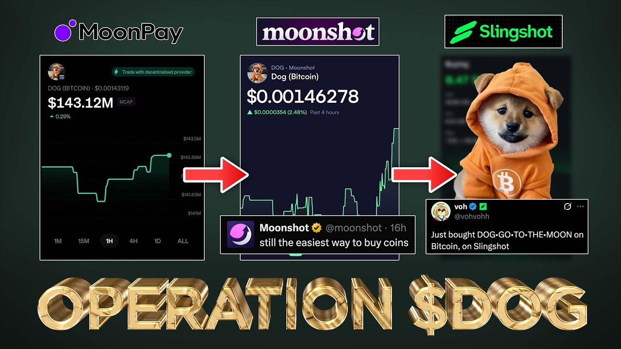 $DOG - Available on Moonshot, MoonPay and soon SlingShot (🚨ALPHA)