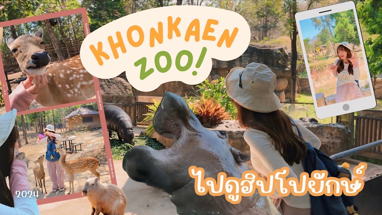 Vlog เที่ยวสวนสัตว์ขอนแก่น 🌳🦛 ไปดูฮิปโปแคระ ( ปี 2024 )