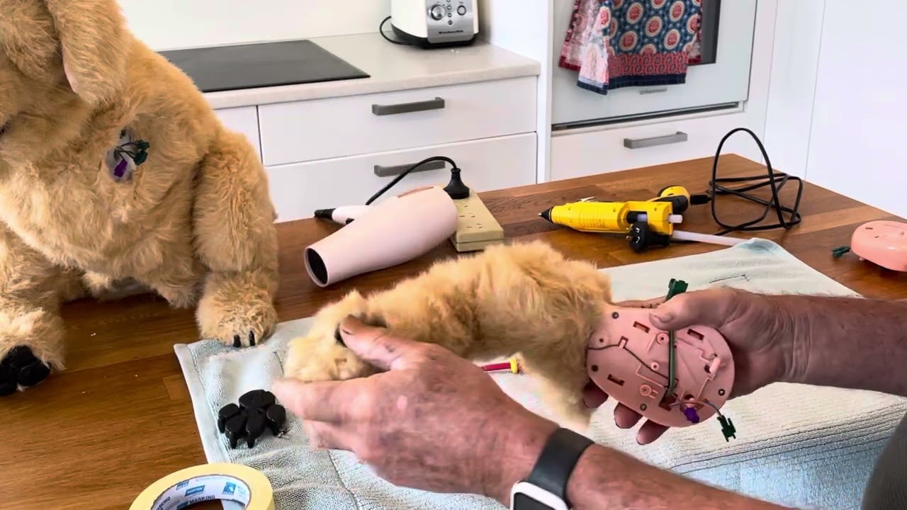 Brendans Biscuit Buddies Easy Leg Repair