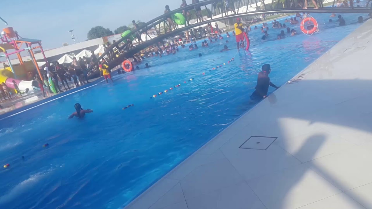 No girafa parque aquatico