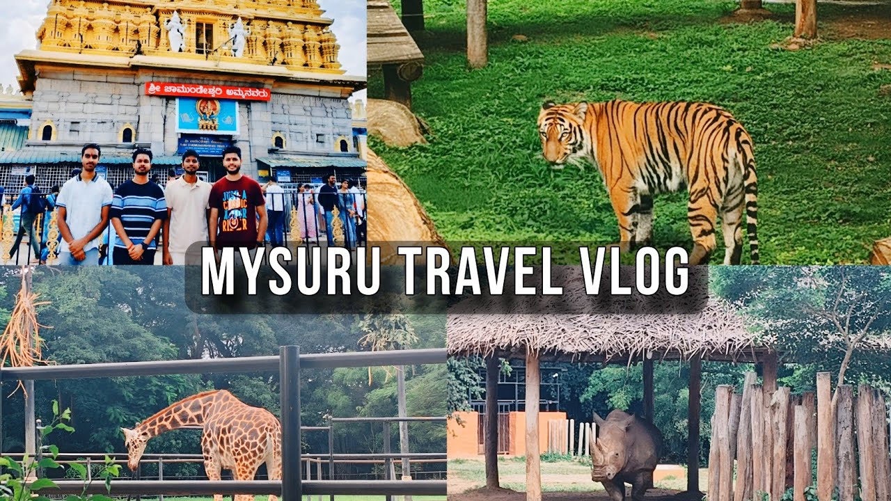 Mysore Vlog 2025 | Palace, Zoo, Chamundi Hills & Karnataka Tourism