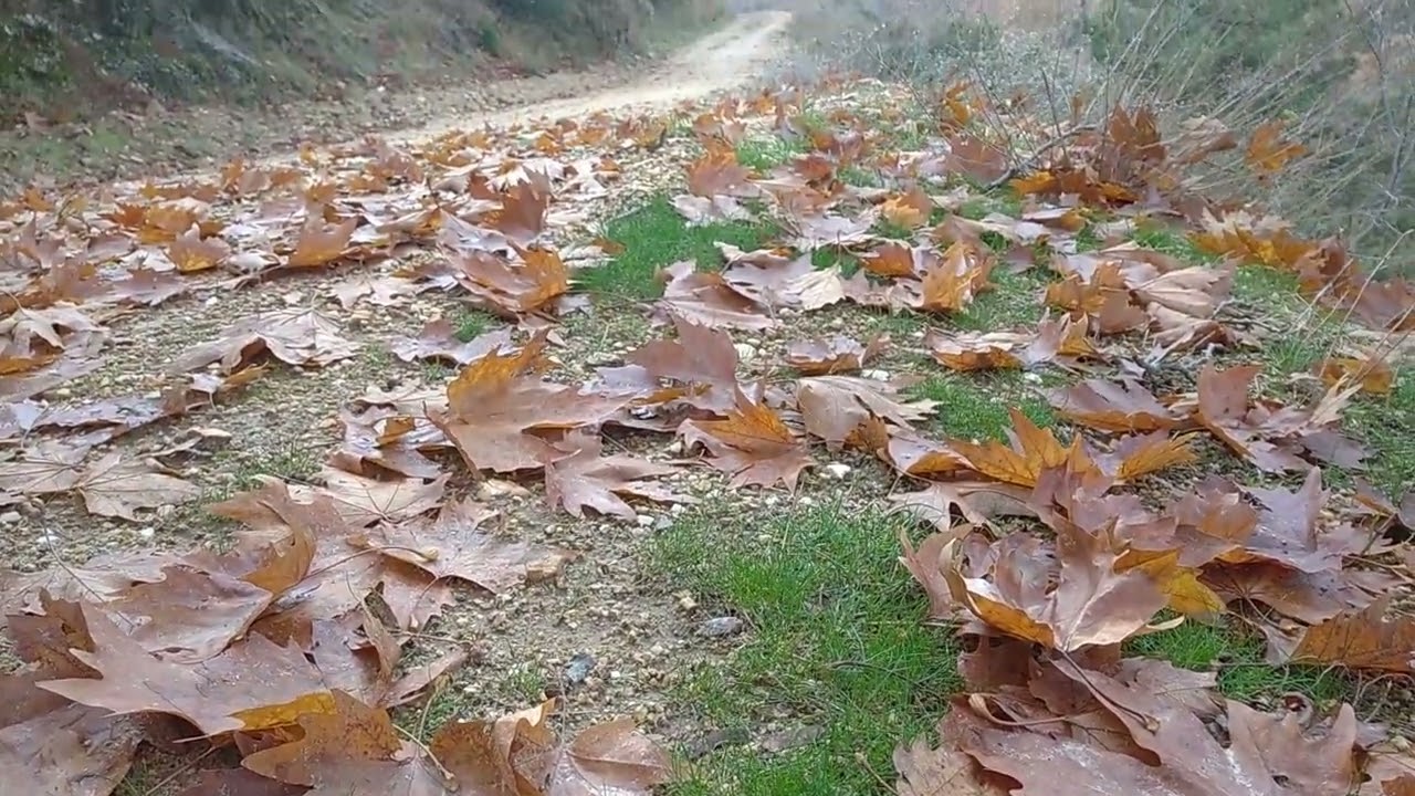 İsrafil deresi yürüyüşü Trekking