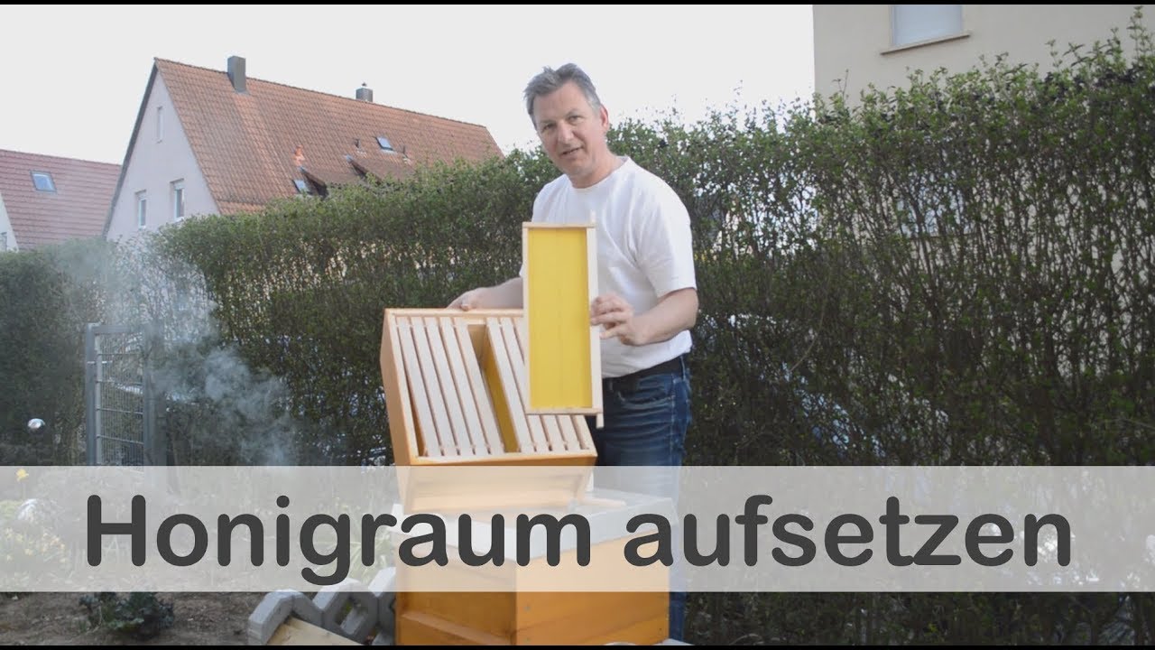 Honigraum aufsetzen