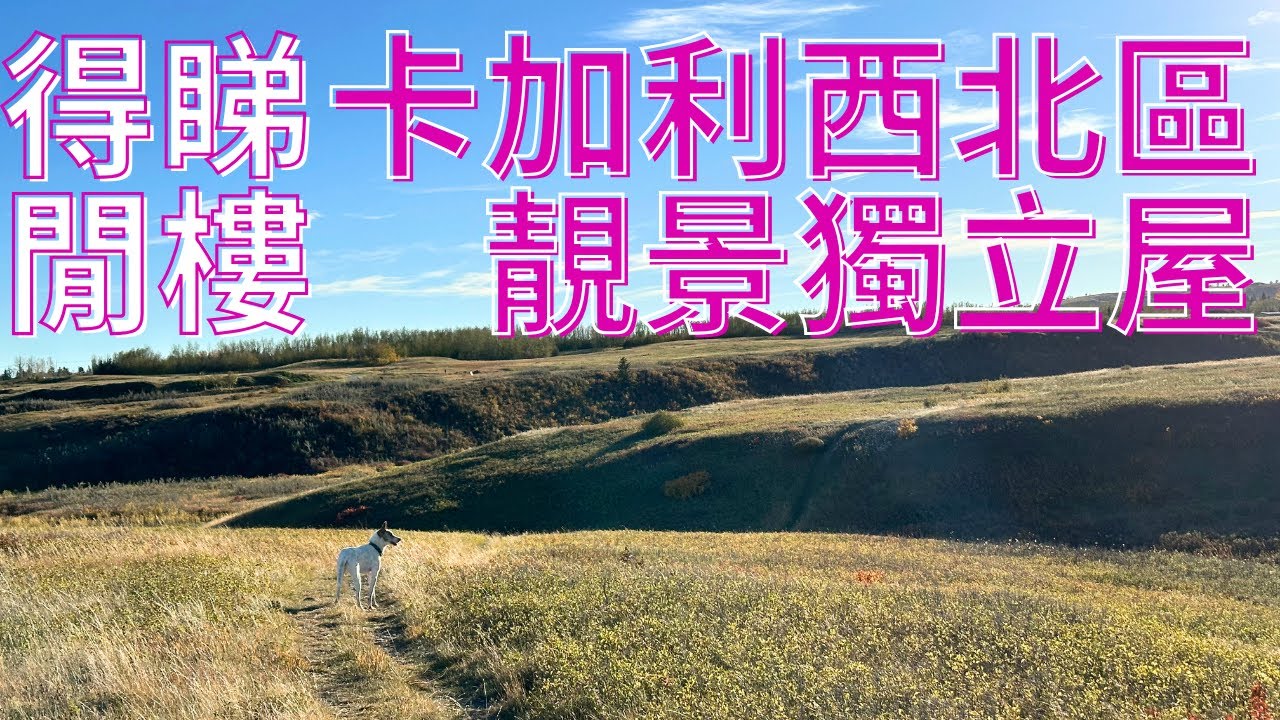 [加拿大生活] [卡加利] 得閒睇樓! 卡加利西北區靚景獨立屋 Calgary NW Panorama, Hamptons, Edgemont✨ 高爾夫場景+Walkout Basement