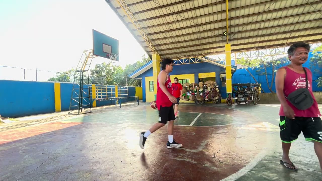 Bulls