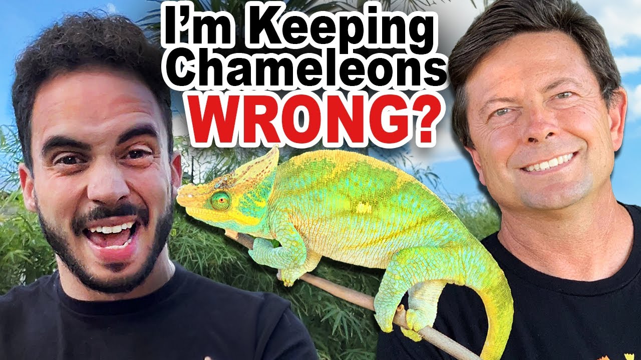 Advanced Chameleon Husbandry: Breaking New Ground (CBE Podcast)