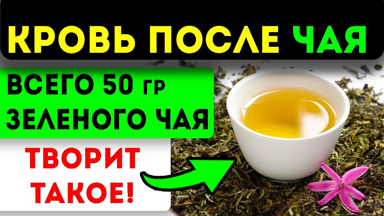 Что творит зеленый чай с сосудами, кровью, мозгом, мочевым,  ЖКТ и даже...