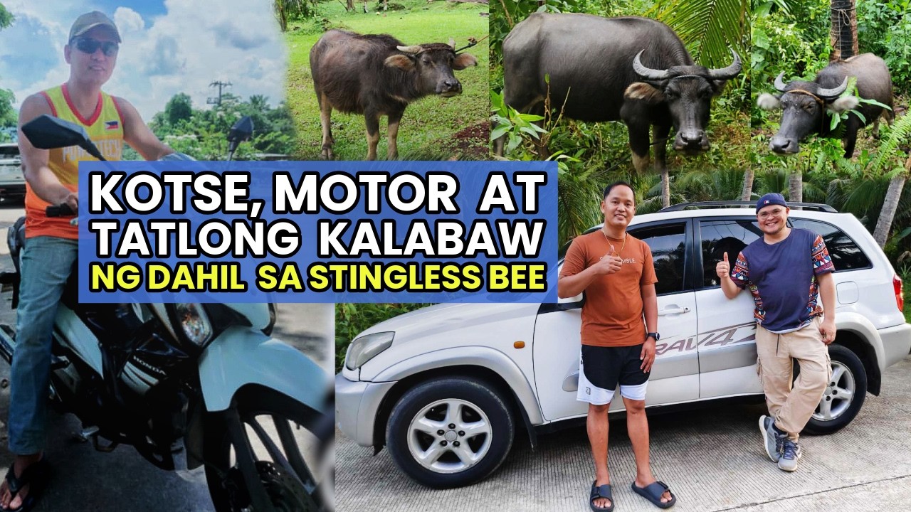 Kotse at Motor Nabili Dahil sa Stingless Bee Farming