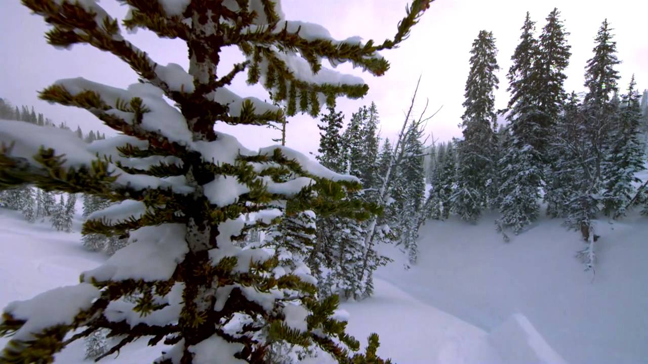 The Art of Flight - Brain Farm Productions - OFFICIAL TRAILER - SNOWBOARD