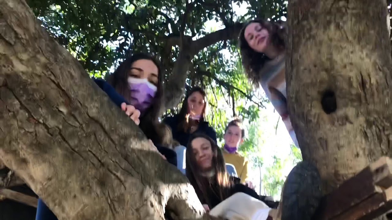 סרטון תדמית הר חומה