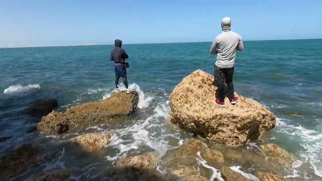 Catching of king mackerel - banc d'arguin in tafarit and tagarit - Mauritania