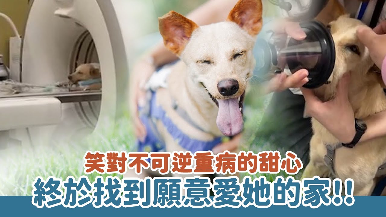 笑對不可逆重病的甜心，終於找到願意愛她的家！