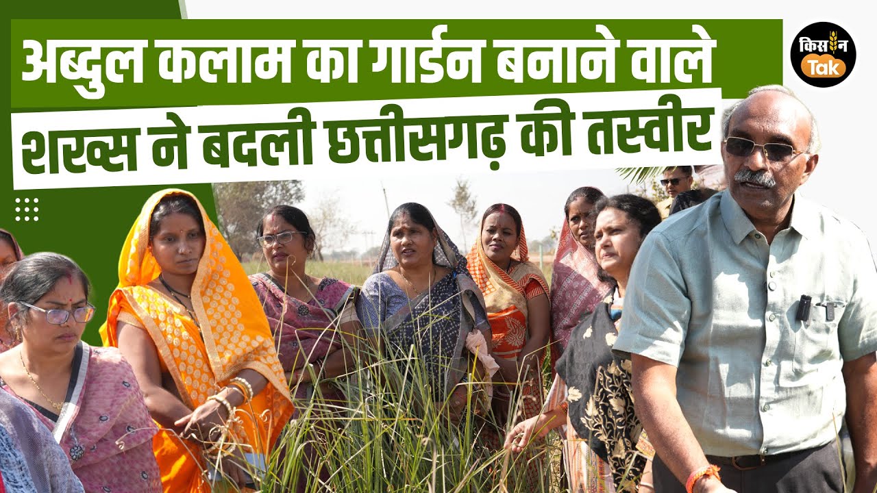 Chhattisgarh News: बंजर जमीनों में हो रही लाखों का मुनाफा देने वाली खेती, देखिए अनोखा मॉडल #news