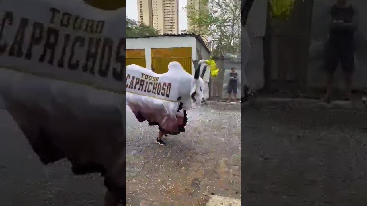 Boi Caprichoso 2026 #carnaval #desfile