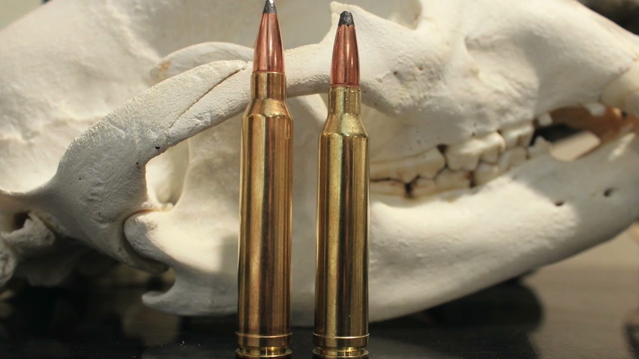7mm Rem Mag против 300 Win Mag: решающее противостояние!