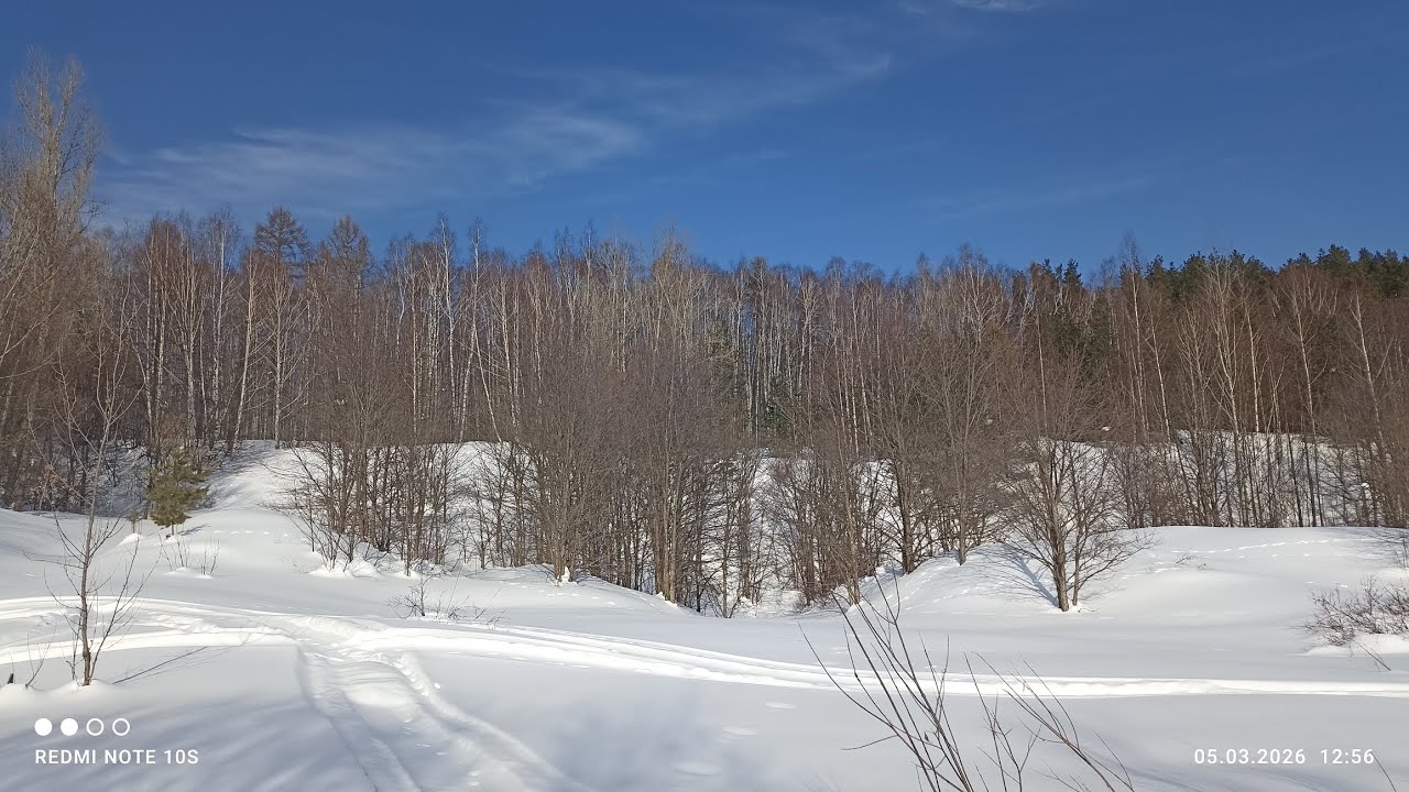 Заячьи тропы на берегу реки Вятки в начале марта.
