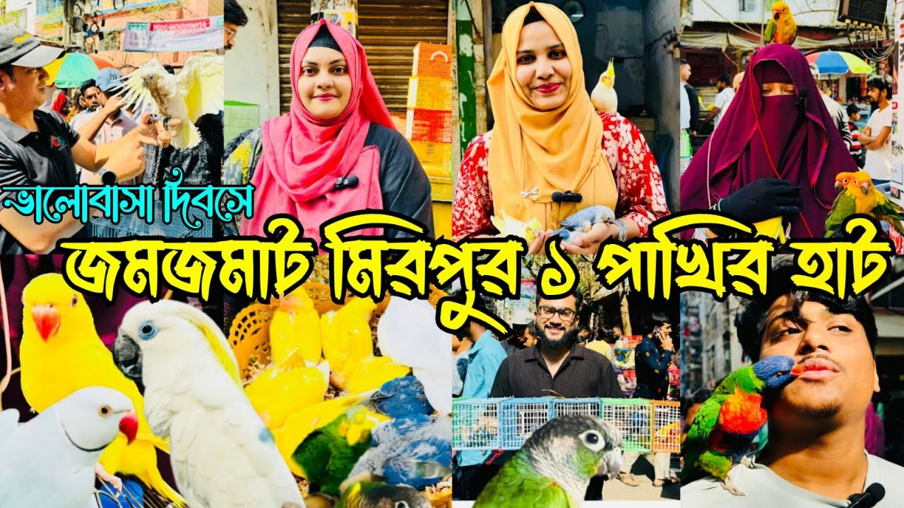 ভালোবাসা দিবসে জমজমাট মিরপুর ১ পাখির হাট | Mirpur 1 Pakhir Hat | Cockatoo | Ringneck #viralvideo