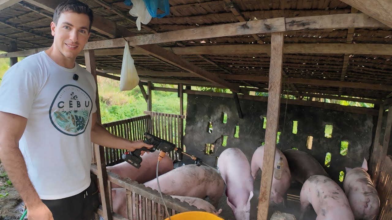 🇵🇭 I Bought a Pig Farm in the Philippines. Here’s How Much Money I Make.