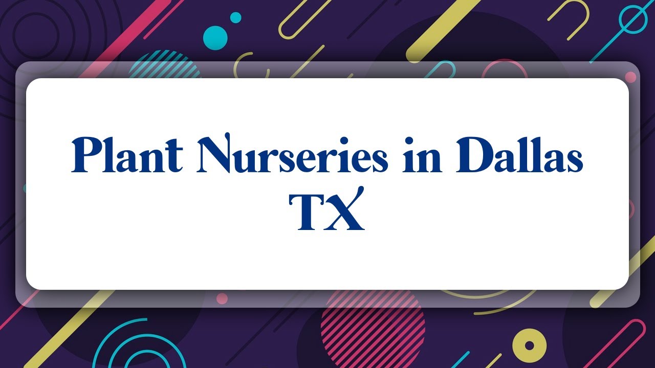 Top 10 Plant Nurseries in Dallas, TX