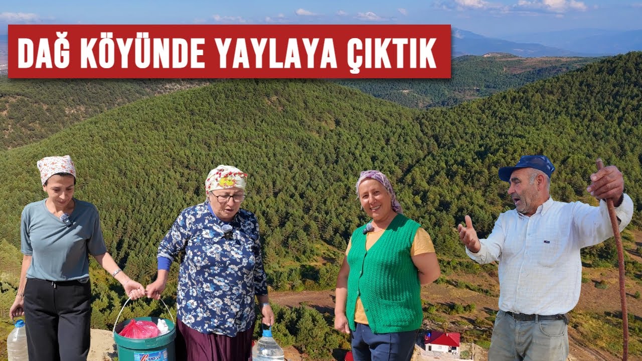 Hayvanları Satıp Gezmek İstiyorum!  -  Tokat I Büşürüm