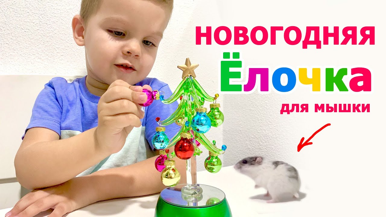 Новогодняя елка для мышки. Новый год. Даня и хомяк Наряжают елку. В лесу родилась елочка.
