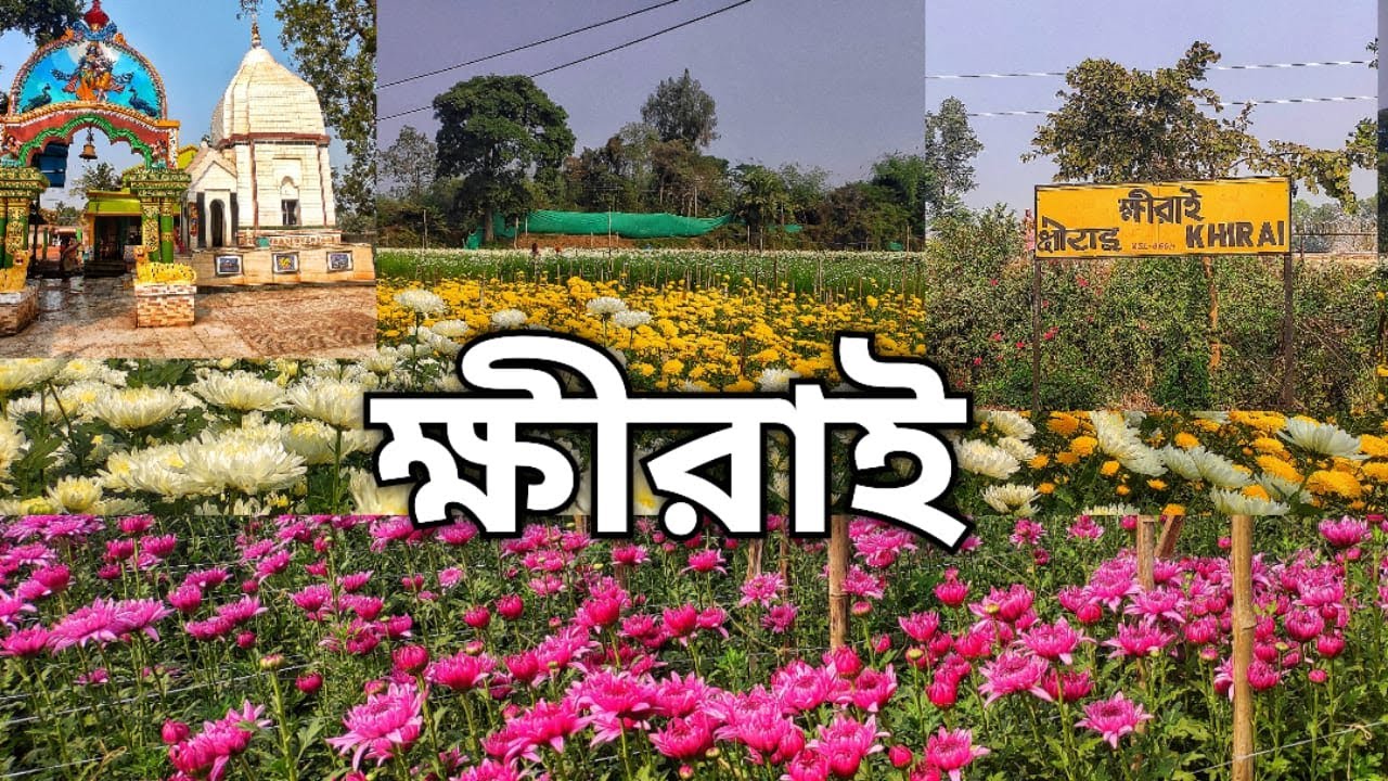 শীতের মরশুমের অন্যতম আকর্ষণ || The flower valley of west bengal || ক্ষিরাই [2024]
