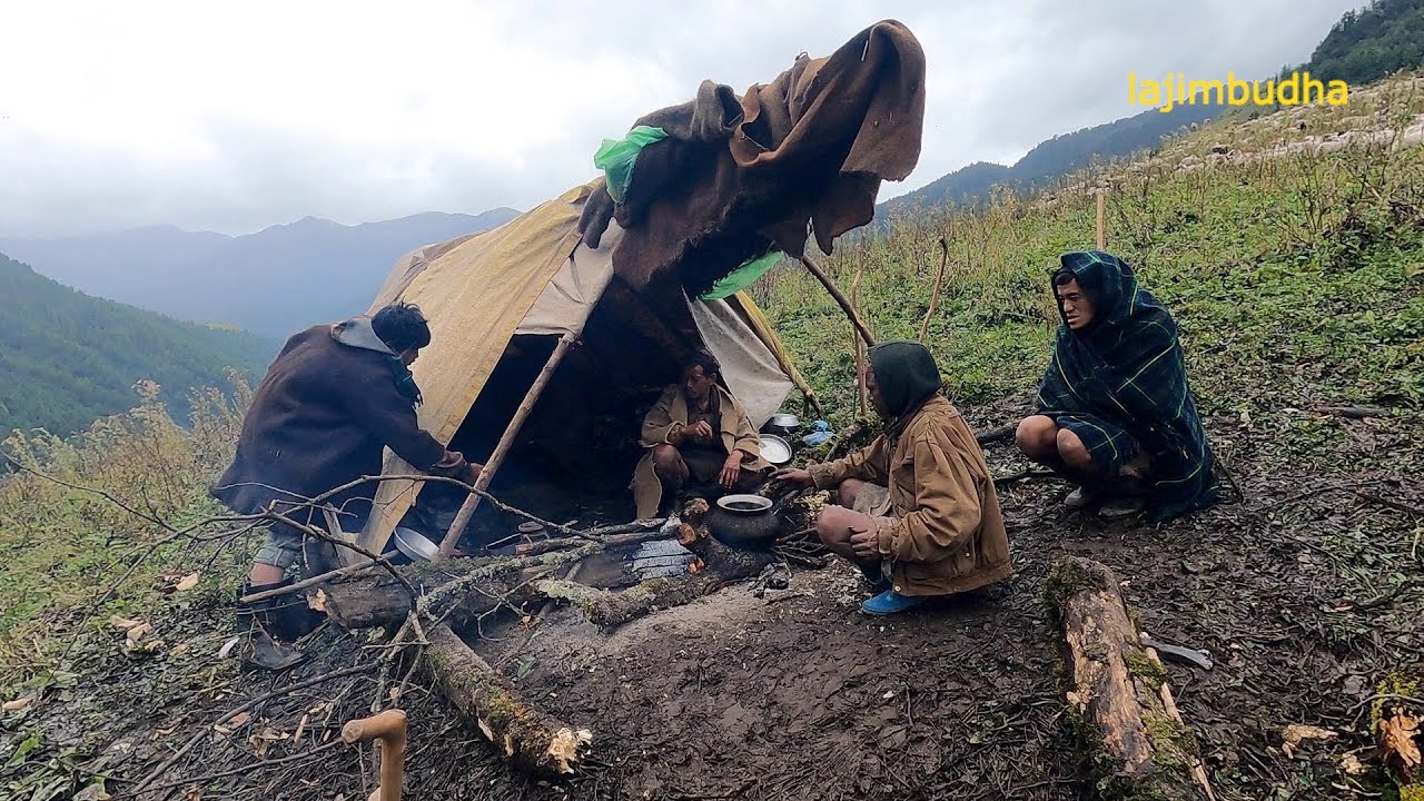 the pastoral life || chapter-69 || Nepal🇳🇵|| lajimbudha ||