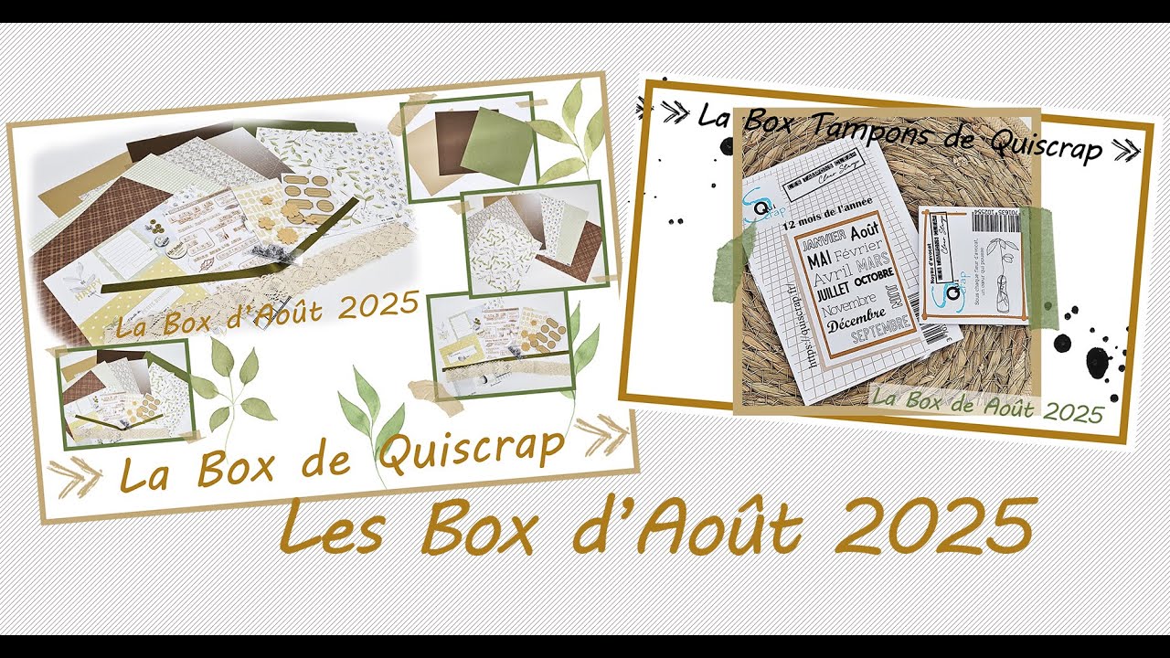 Les Box d'aout 2025 en vidéo