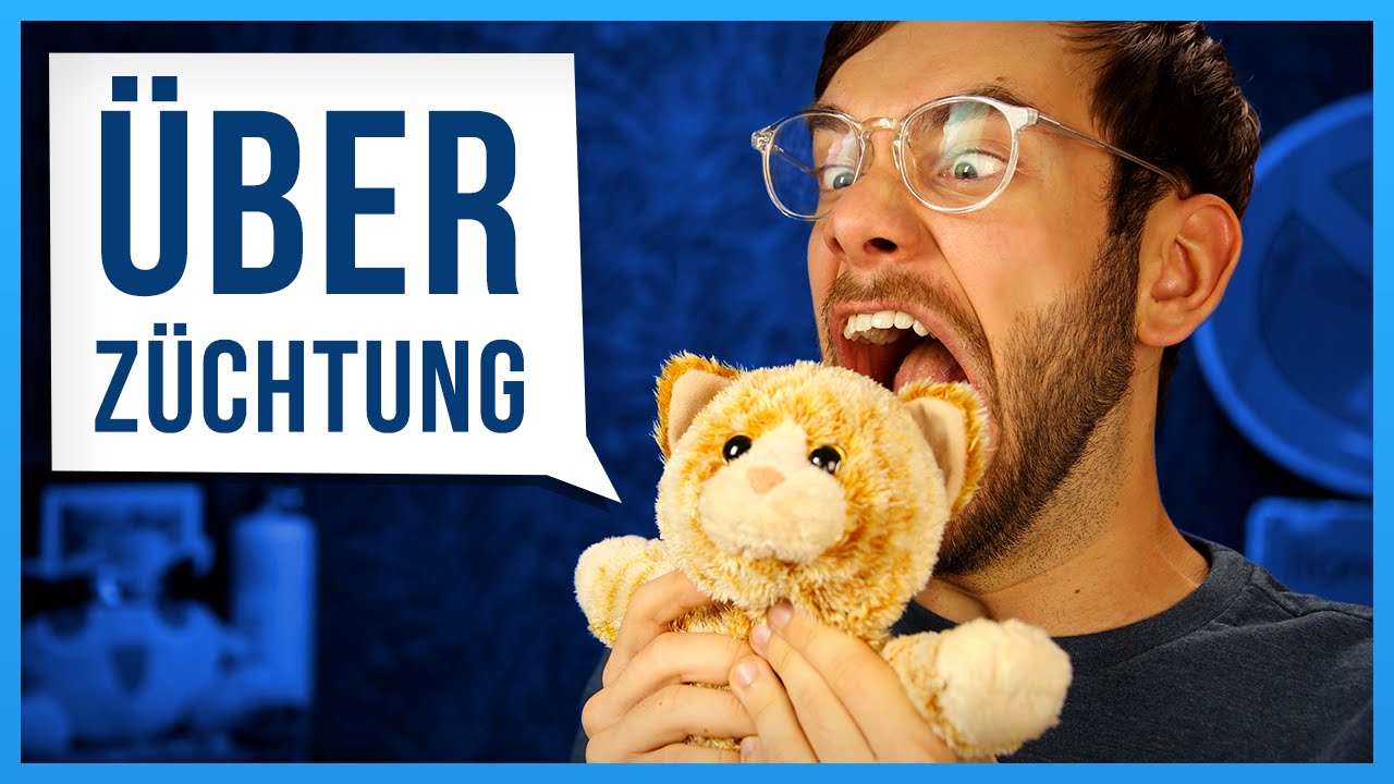 Überzüchtung = Tierquälerei?