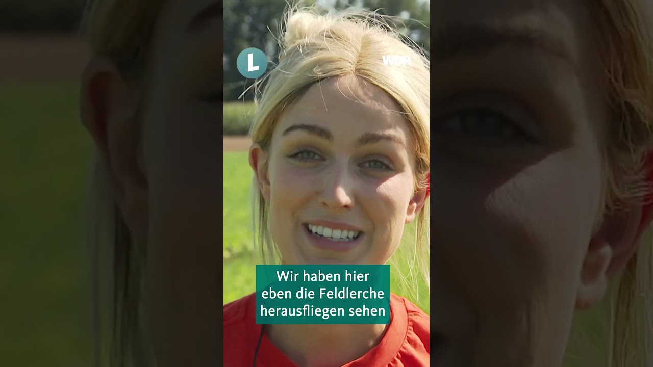 Experiment: Zwischenfruchtaussaat mit der Drohne