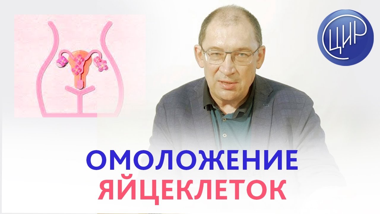 Омоложение яйцеклеток. Наука и практика. И.И. Гузов.