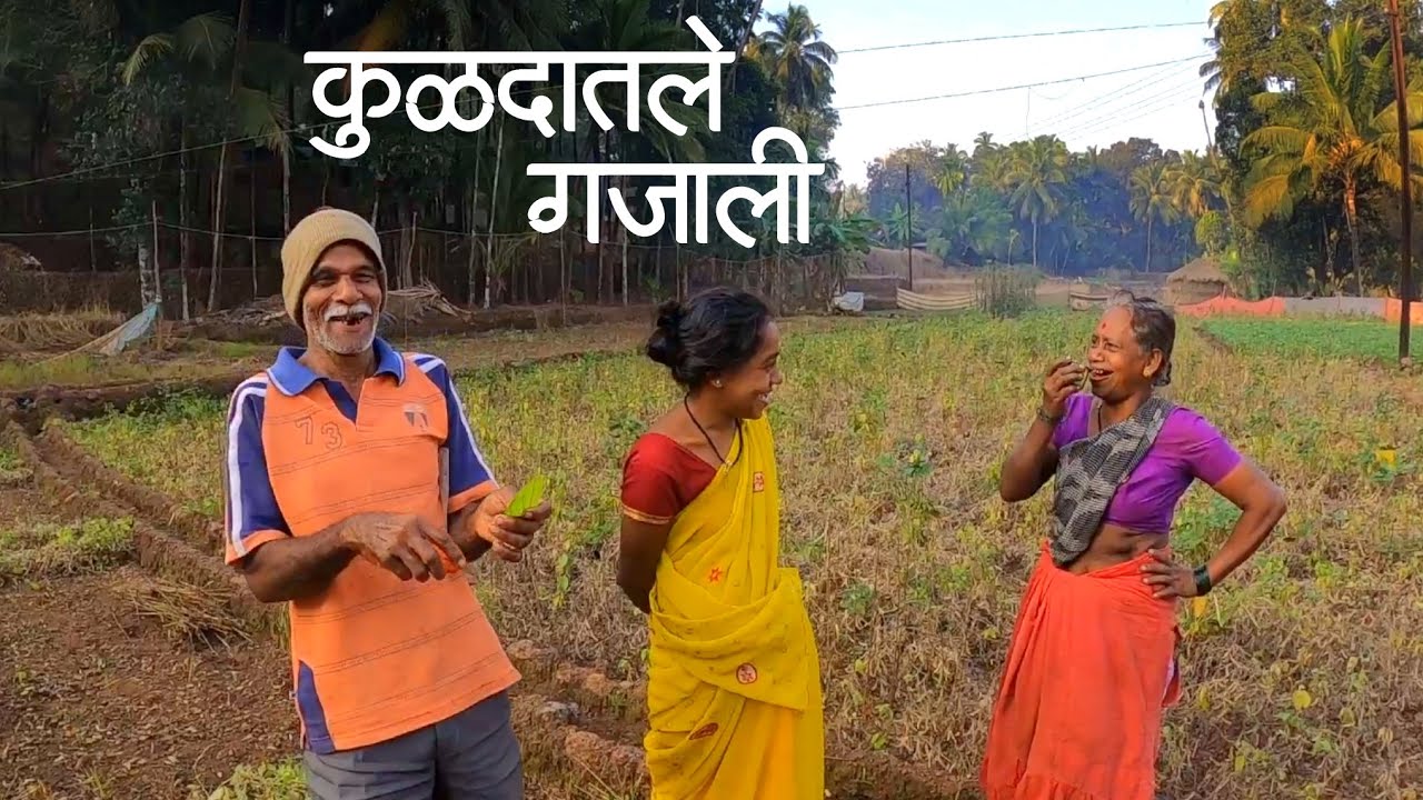 पुष्पा नाना आणि पुनग्या सोबत कुळीथ काढतानाचे गजाली | नारिंग्रे, देवगड