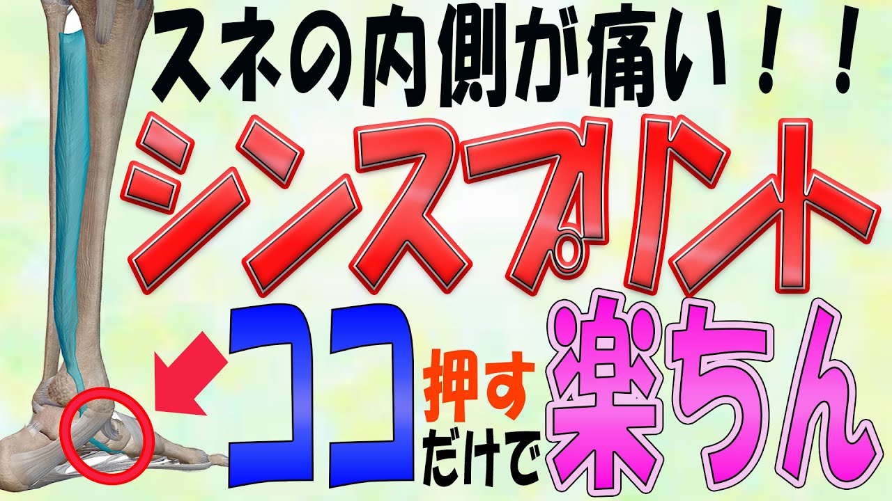【シンスプリント 治し方】シンスプリントの治し方はコレをやれば早期に競技復帰できます！誰もやらないポイントはココ！！