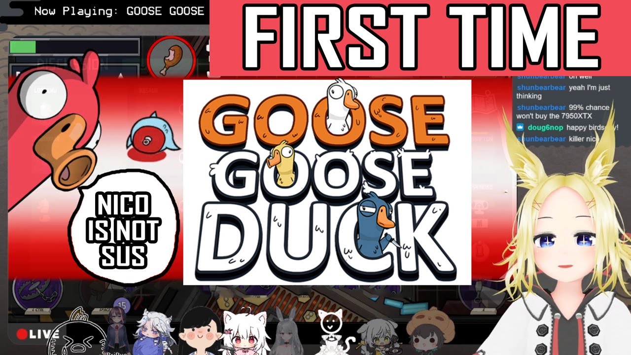 FIRST TIME GOOSE GOOSE DUCK