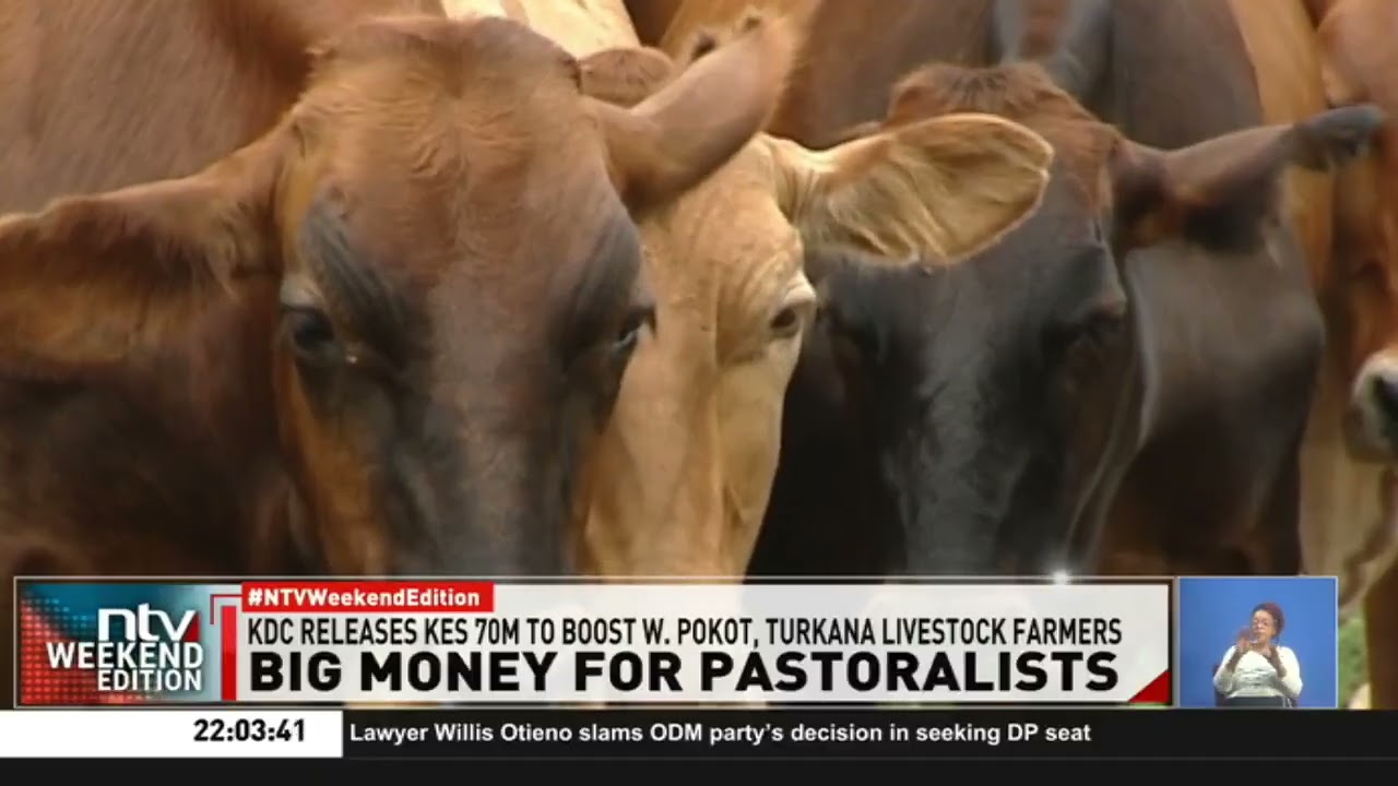 Kenya Development Corporation issues Sh70 million to livestock farmers in West Pokot and Turkana