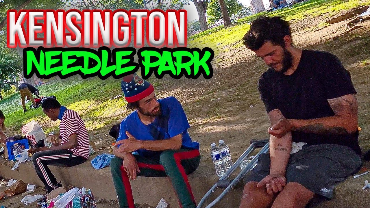 JUST ANOTHER DAY IN KENSINGTON SUMMER TIME IN NEEDLE PARK FACES OF KENSINGTON