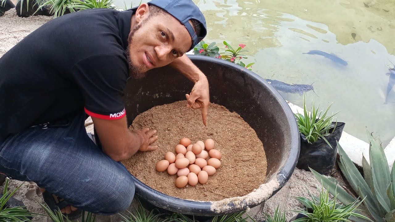 NO PELLET MACHINE? FORMULA 5 FISH FEED: HOW TO PRODUCE FEED WITHOUT A PELLET MACHINE