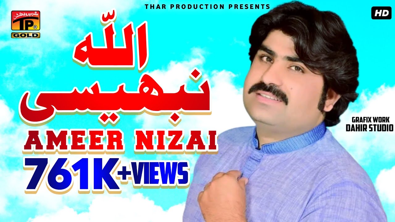 Allah Nibhesi Mediyan - Ameer Niazi Pai Khelvi - امیر نیازی پائی خیلوی- New Saraiki  Song - TP Gold