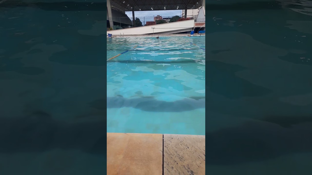 GED1 ( EXEMPLO DE TREINO DE FORÇA... ) #swimming #swim #sports #pool #esporte #underwater