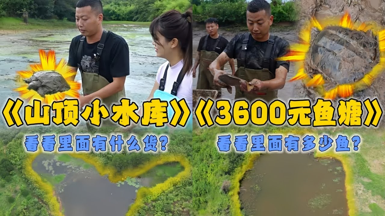 小飞哥用挖机换一口荒废小水库，里面到底会有什么货？｜花3600元包下一口鱼塘，没想到塘主竟然这样做？