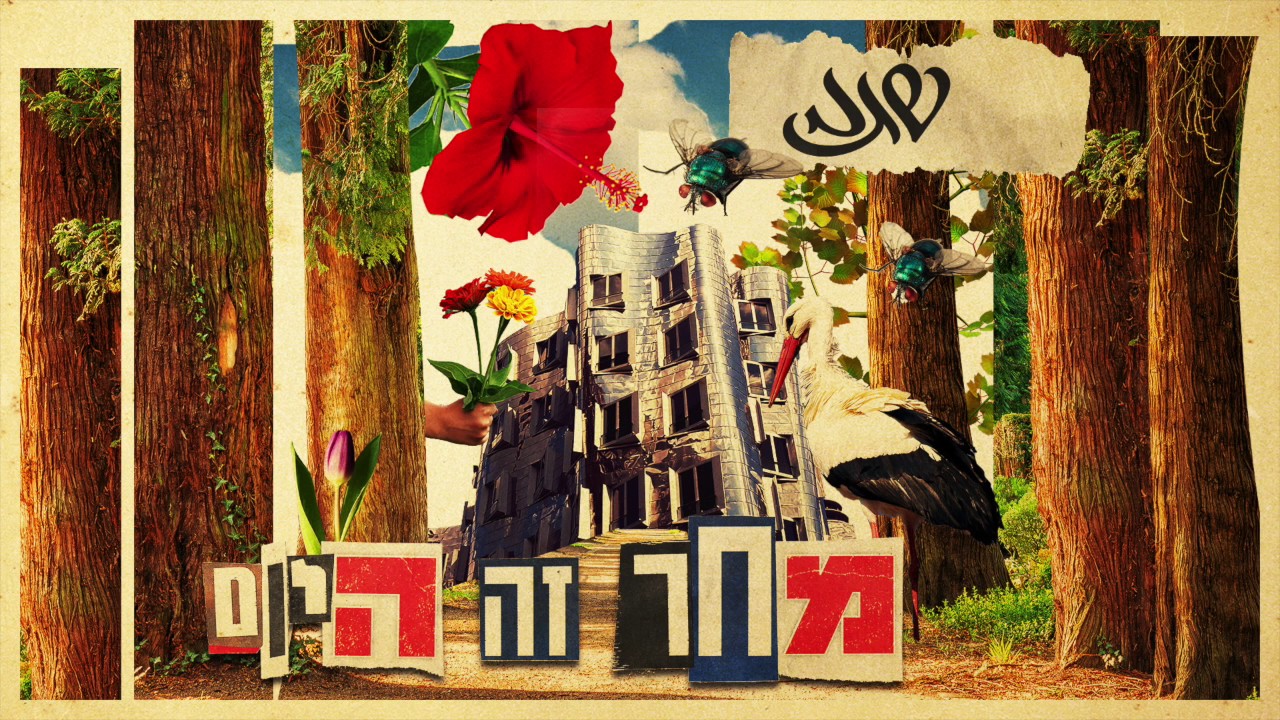 שגב [מארח את לוקי] - לא מסטל תי כלום