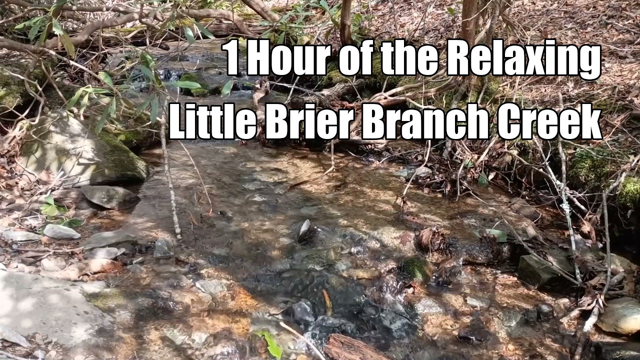1 Hour of the Relaxing Little Brier Branch Creek