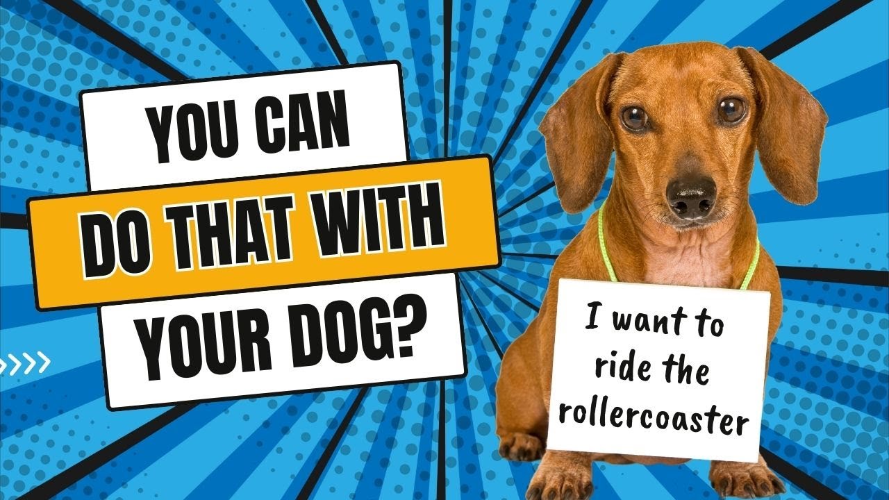 Ваш полный путеводитель по приключениям в Брэнсоне, штат Миссури, где можно пообщаться с собакой