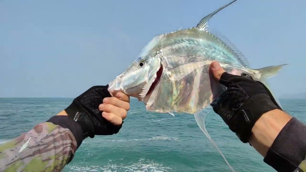 Pescaria na Costeira com Isca Artificial (Rockfish)